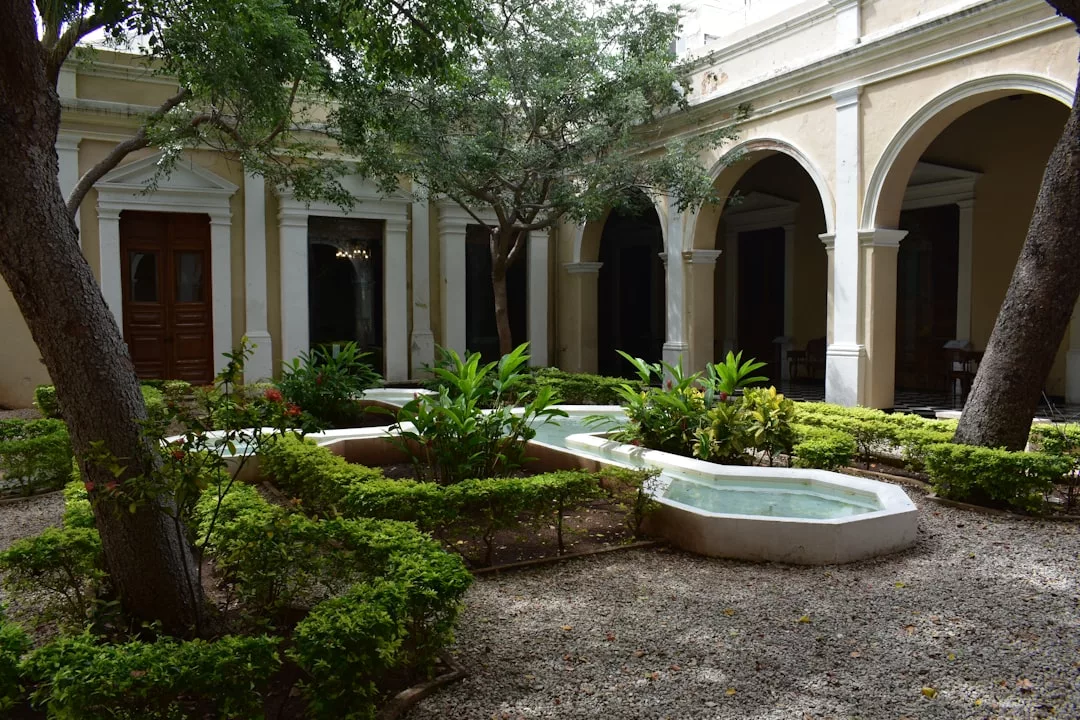 Sunny courtyard with green plants, trees, a small water fountain, and arched walkways in a traditional townhouse in Andratx Old Town—a charming setting perfect for buying your dream historic home.