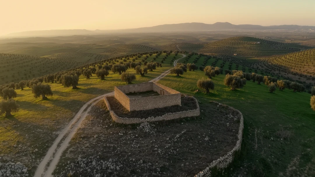Charming small stone house surrounded by trees and stone walls in a green rural landscape with rolling hills near Porto Cristo—perfect for those seeking undeveloped land despite buying challenges.