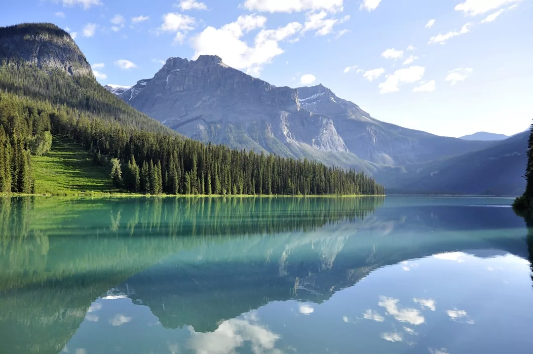 Clear lake with a forest and mountain range in the background, reflecting in the calm water under a blue sky, near Puigpunyent—an area known for its gourmet mountain restaurants and fine dining experiences.